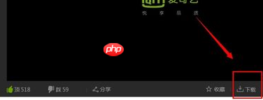 爱奇艺视频怎么下载到u盘 具体操作方法介绍