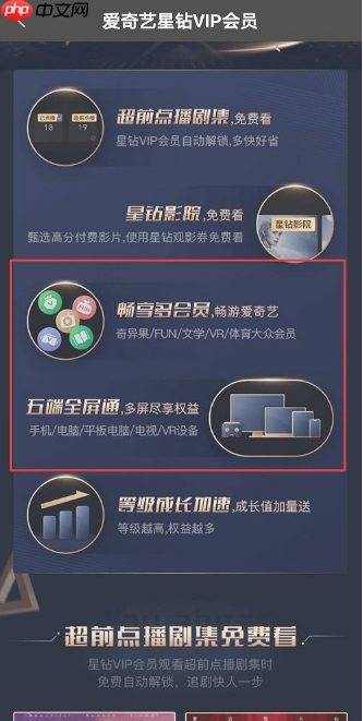 爱奇艺星钻会员电视上怎么用  爱奇艺星钻会员开通方法