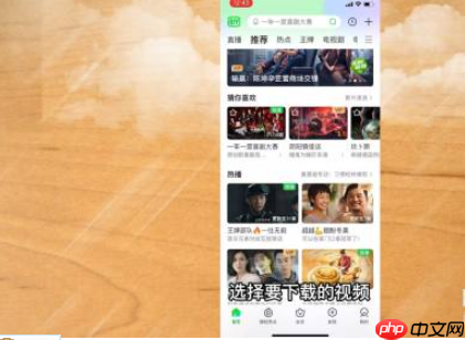 爱奇艺视频导出到本地 具体操作步骤