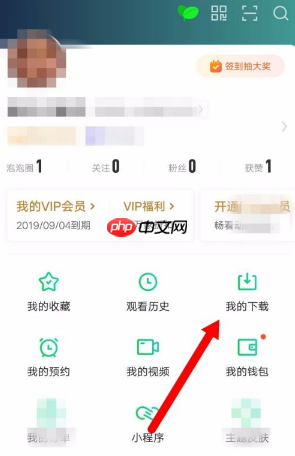 爱奇艺视频怎么保存到手机相册 具体操作方法