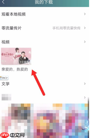 爱奇艺视频怎么保存到手机相册 具体操作方法