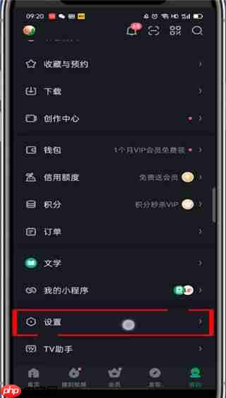 爱奇艺怎么设置跳过开头和结尾 爱奇艺设置跳过开头和结尾的步骤