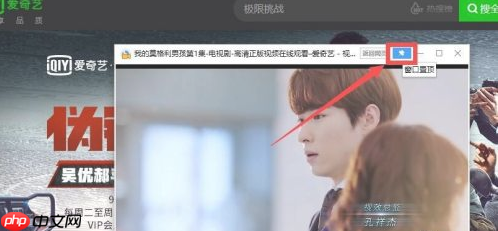爱奇艺如何小窗口播放 教程方法介绍