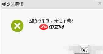 爱奇艺视频怎么下载到u盘里面 具体操作步骤