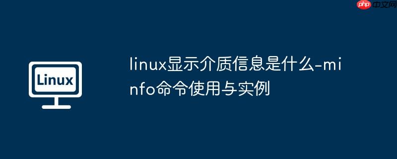 linux显示介质信息是什么-minfo命令使用与实例