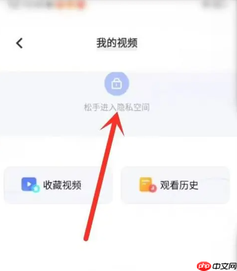 vivo浏览器隐私空间视频恢复 vivo浏览器找移入隐私空间的视频方法