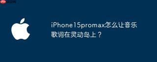 iPhone15promax怎么让音乐歌词在灵动岛上？