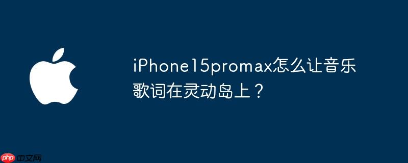 iphone15promax怎么让音乐歌词在灵动岛上？