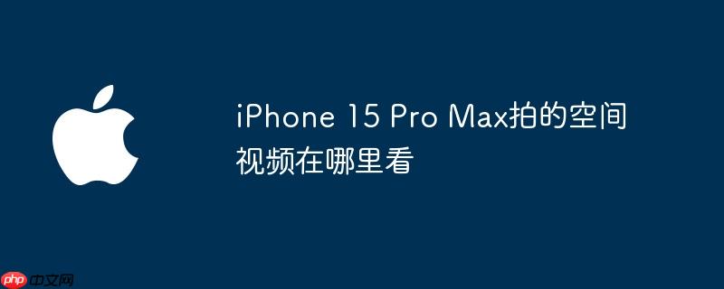 iPhone 15 Pro Max拍的空间视频在哪里看