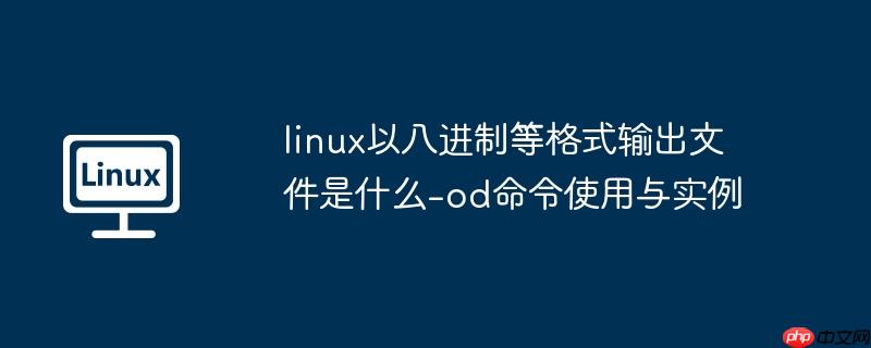 linux以八进制等格式输出文件是什么-od命令使用与实例