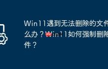 Win11遇到无法删除的文件怎么办?Win11如何强制删除文件?