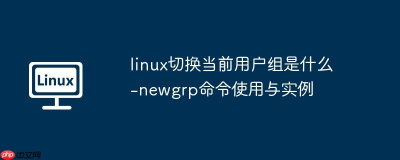 linux切换当前用户组是什么-newgrp命令使用与实例