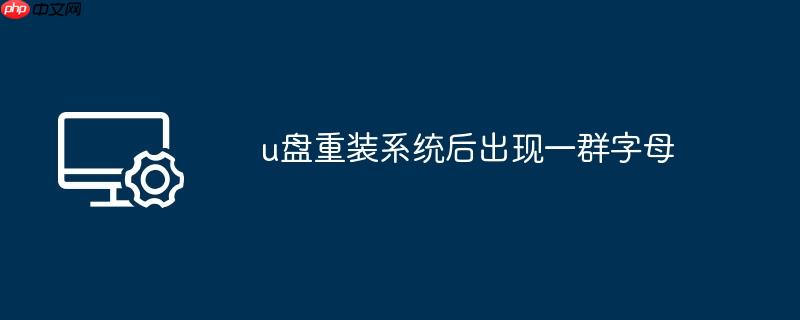 u盘重装系统后出现一群字母