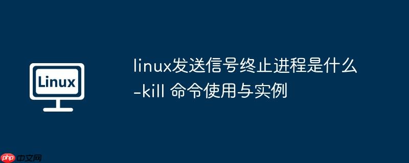 linux发送信号终止进程是什么-kill 命令使用与实例