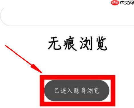 via浏览器怎么无痕浏览 具体操作方法介绍
