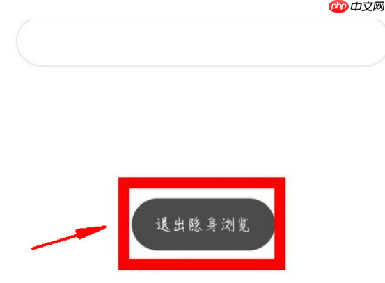 via浏览器怎么无痕浏览 具体操作方法介绍