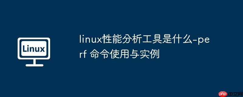 linux性能分析工具是什么-perf 命令使用与实例