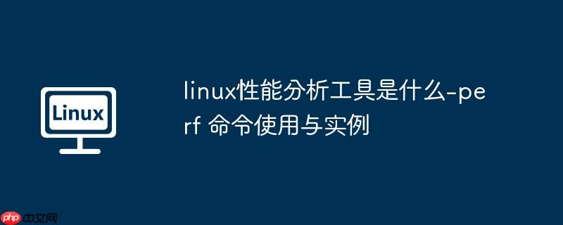 linux性能分析工具是什么-perf 命令使用与实例