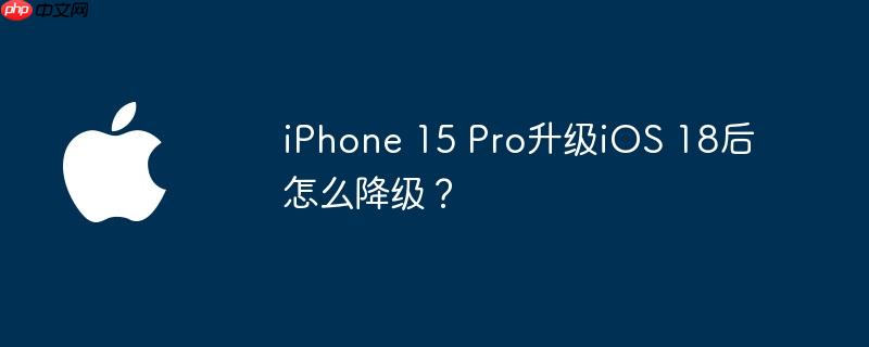 iphone 15 pro升级ios 18后怎么降级？