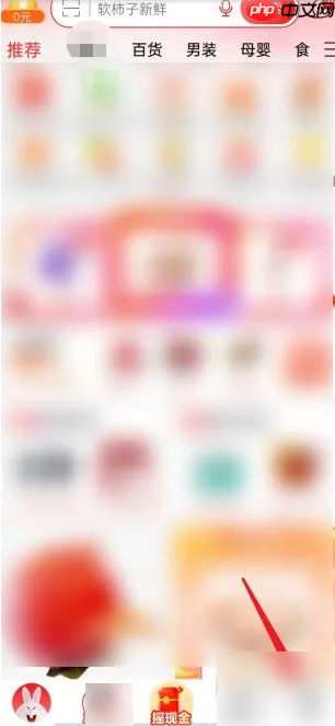 淘特购物如何操作 淘特查看历史浏览操作步骤