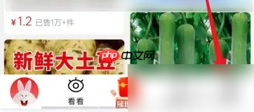淘特app怎么联系 淘特APP联系客服方法介绍