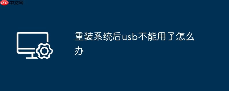 重装系统后usb不能用了怎么办