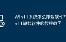 Win11系统怎么卸载软件?Win11卸载软件的教程教学