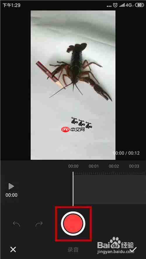 快剪辑为什么不能录音 给视频添加录音方法