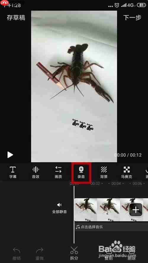 快剪辑为什么不能录音 给视频添加录音方法