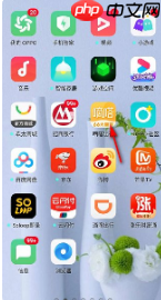 嘀嗒拼车怎么加钱 嘀嗒拼车加感谢费教程