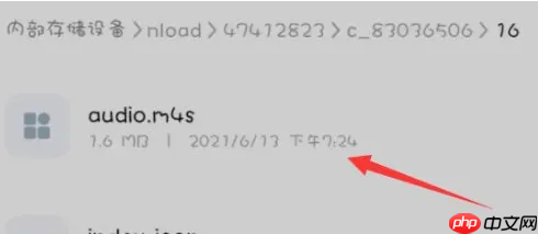 哔哩哔哩视频怎么提取音频 具体操作方法介绍