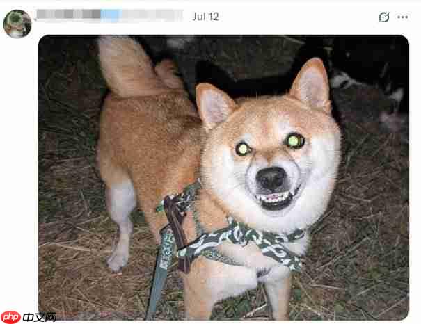 你的宠物够吓人吗? 《生化危机》官方收集恐怖宠物照