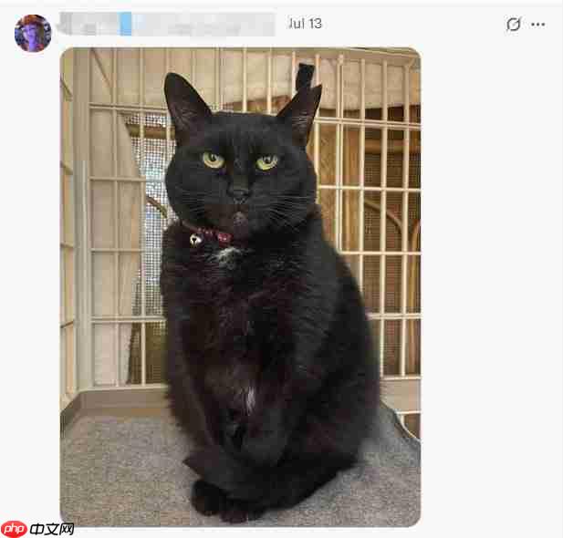 你的宠物够吓人吗? 《生化危机》官方收集恐怖宠物照