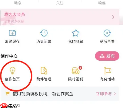 哔哩哔哩怎么办把自己的投稿设为隐私 具体操作方法介绍