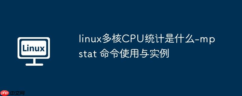 linux多核CPU统计是什么-mpstat 命令使用与实例