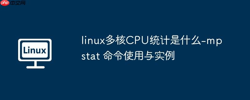 linux多核cpu统计是什么-mpstat 命令使用与实例
