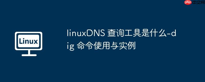 linuxDNS 查询工具是什么-dig 命令使用与实例