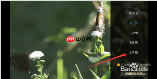 百度云怎么倍速 百度网盘倍速播放设置方法