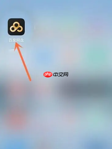 百度网盘app怎么打开复制的链接 百度网盘APP复制分享的链接方法