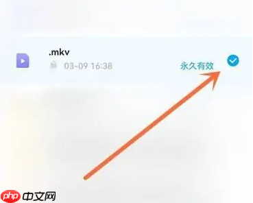 百度网盘app怎么打开复制的链接 百度网盘APP复制分享的链接方法
