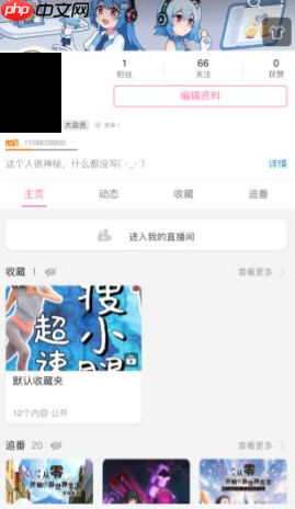 哔哩哔哩动画如何微信支付会员 具体操作方法介绍