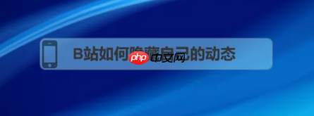 bilibili如何隐藏动态 B站如何隐藏自己的动态