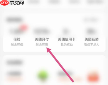 美团怎么办月卡  美团如何办月卡会员