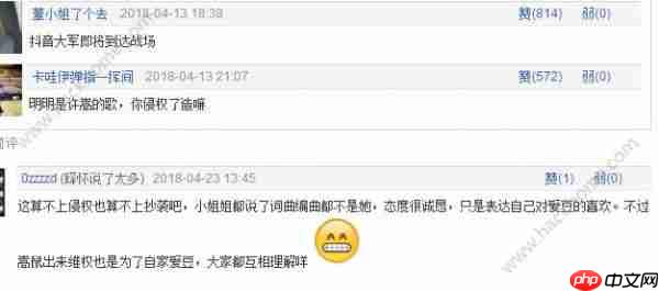 抖音有何不可改编是什么歌 有何不可抖音版歌曲分享