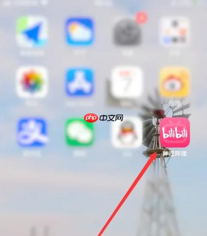 b站app如何关掉我的校园 哔哩哔哩隐藏我的校园信息教程