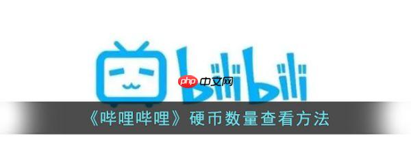 哔哩哔哩硬币数量怎么查看 硬币数量查看方法