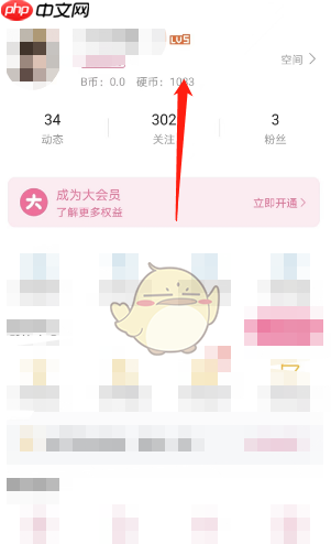 哔哩哔哩硬币数量怎么查看 硬币数量查看方法