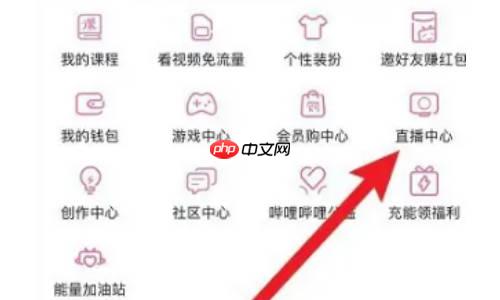 哔哩哔哩直播如何关延迟 哔哩哔哩直播设置无延迟方法介绍