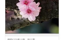 uc浏览器怎么保存图片 uc浏览器保存图片的方法