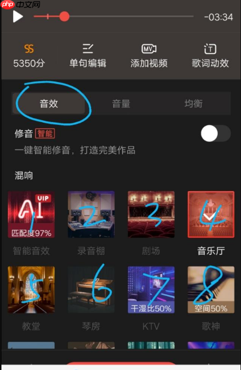全民k歌唱歌怎么调音 具体操作方法介绍